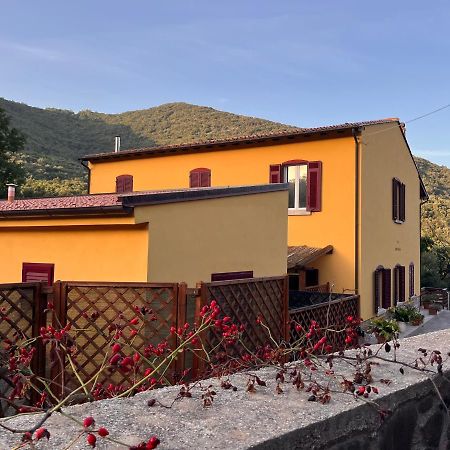 B&B La Fucinaia Pet Friendly Adults Only カンピーリア・マリッティマ エクステリア 写真