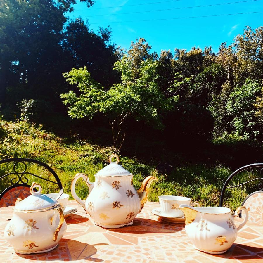 B&B La Fucinaia Pet Friendly Adults Only カンピーリア・マリッティマ エクステリア 写真