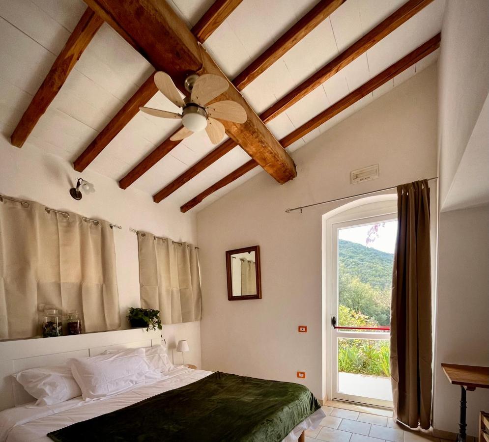 B&B La Fucinaia Pet Friendly Adults Only カンピーリア・マリッティマ エクステリア 写真