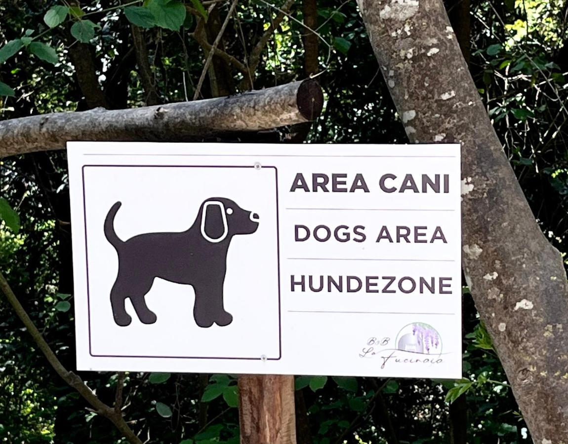 B&B La Fucinaia Pet Friendly Adults Only カンピーリア・マリッティマ エクステリア 写真