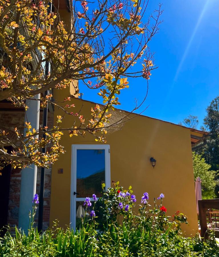 B&B La Fucinaia Pet Friendly Adults Only カンピーリア・マリッティマ エクステリア 写真