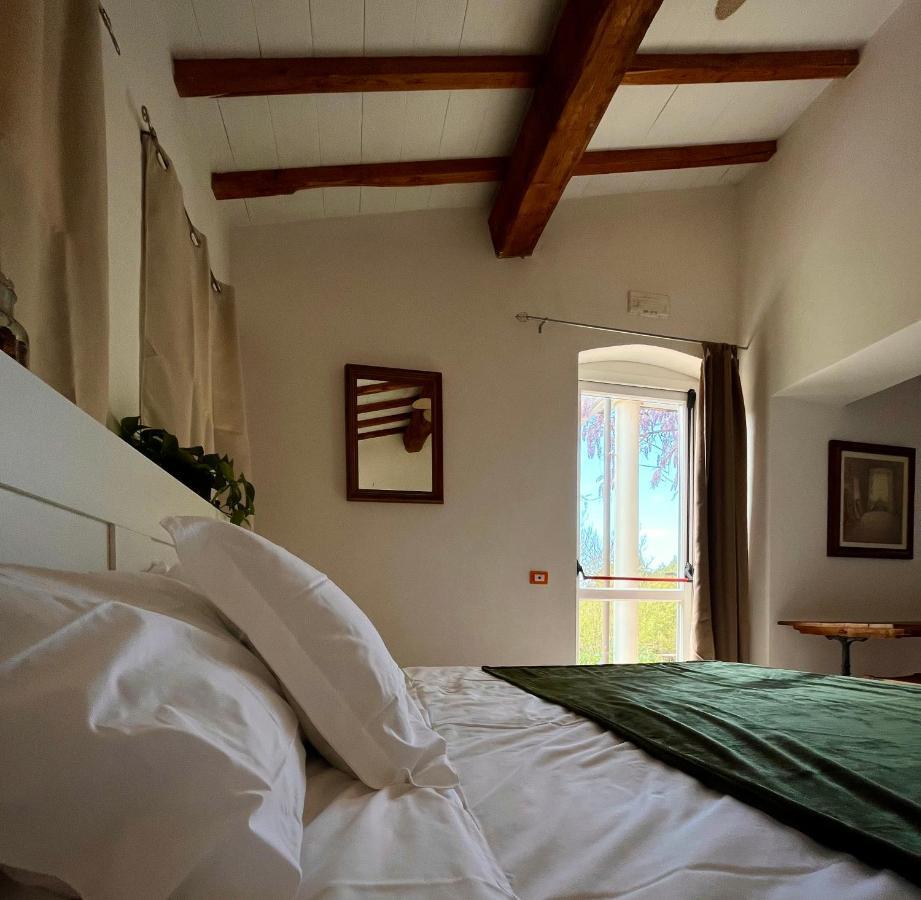 B&B La Fucinaia Pet Friendly Adults Only カンピーリア・マリッティマ エクステリア 写真