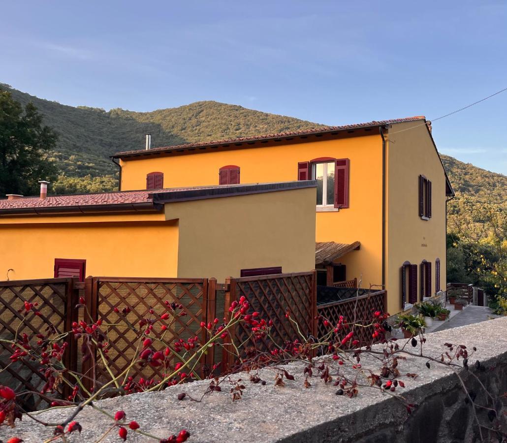 B&B La Fucinaia Pet Friendly Adults Only カンピーリア・マリッティマ エクステリア 写真