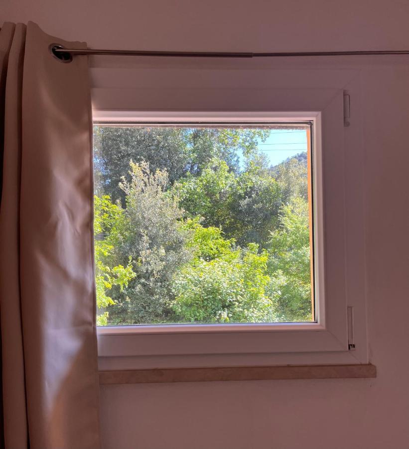 B&B La Fucinaia Pet Friendly Adults Only カンピーリア・マリッティマ エクステリア 写真