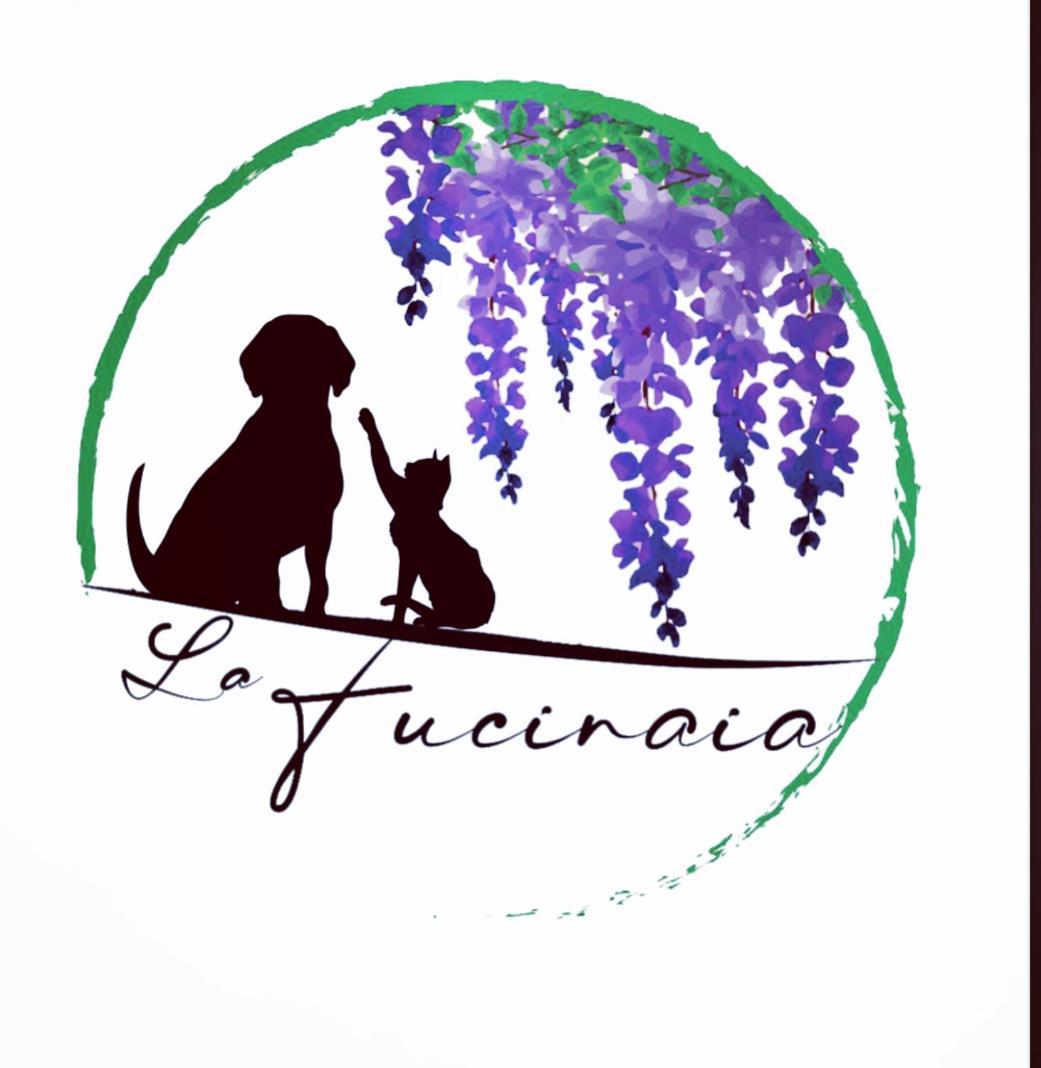 B&B La Fucinaia Pet Friendly Adults Only カンピーリア・マリッティマ エクステリア 写真