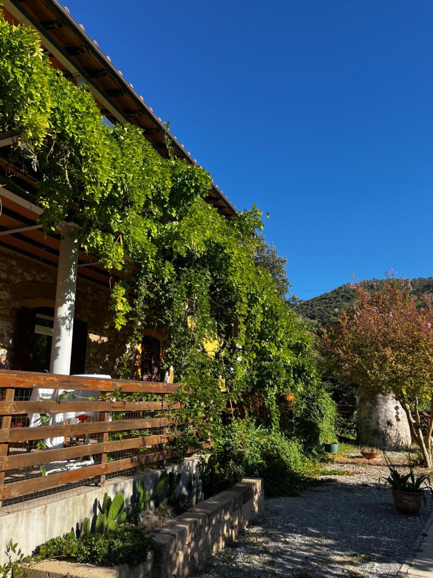 B&B La Fucinaia Pet Friendly Adults Only カンピーリア・マリッティマ エクステリア 写真
