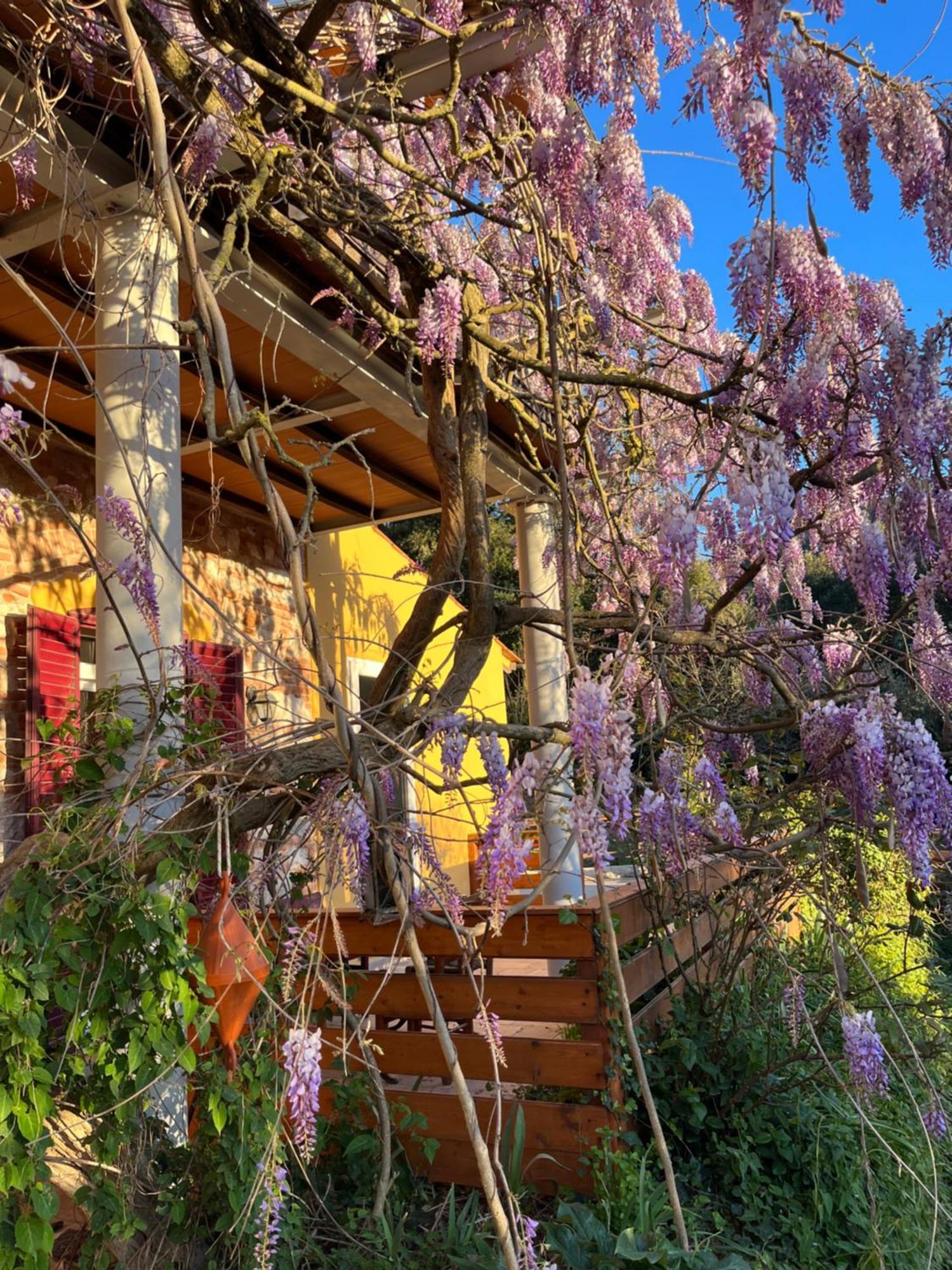 B&B La Fucinaia Pet Friendly Adults Only カンピーリア・マリッティマ エクステリア 写真