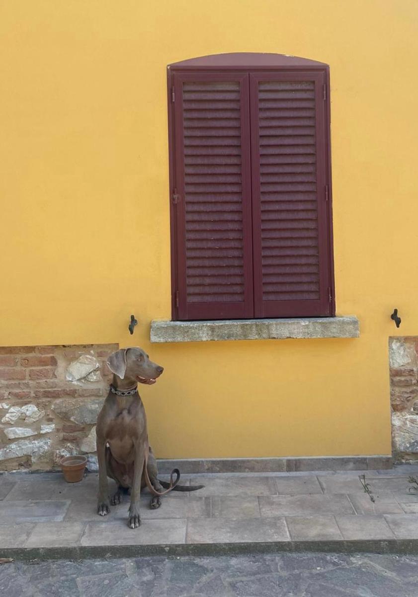 B&B La Fucinaia Pet Friendly Adults Only カンピーリア・マリッティマ エクステリア 写真