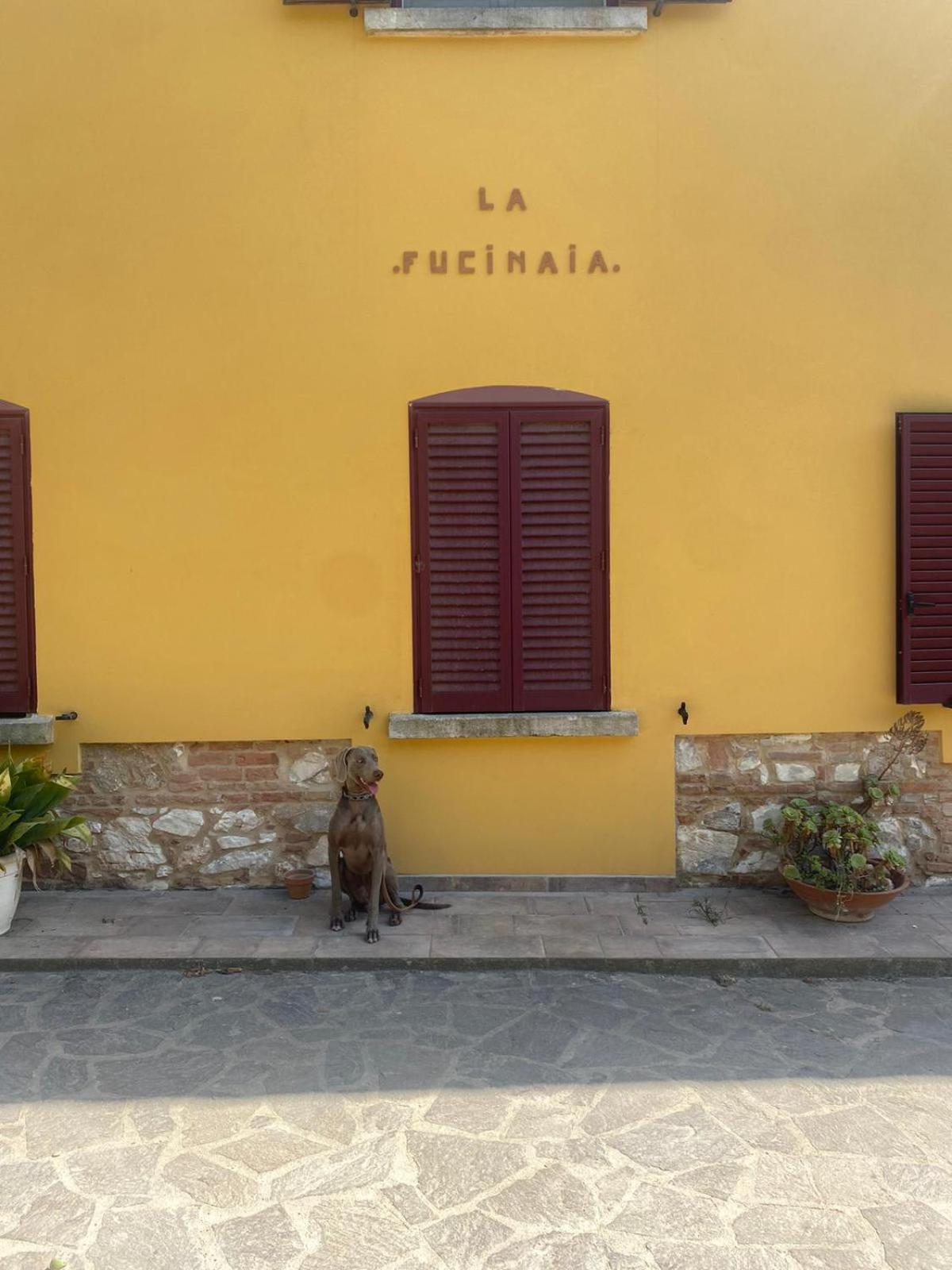 B&B La Fucinaia Pet Friendly Adults Only カンピーリア・マリッティマ エクステリア 写真